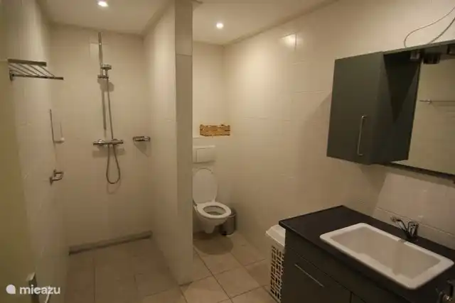 Bathroom with a large walk-in shower.