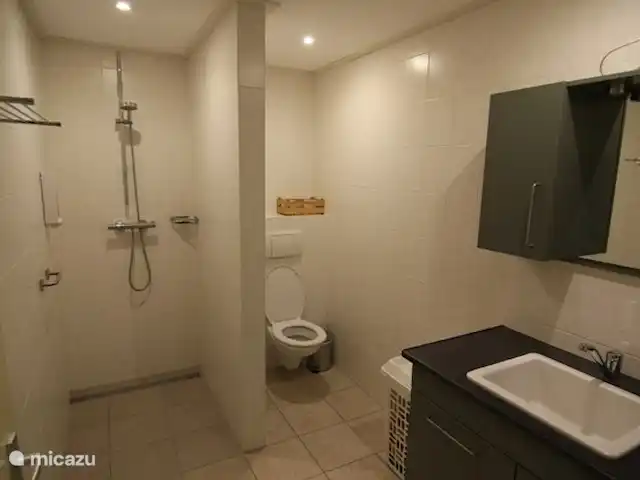 casa vacacional en Países Bajos, Barbante Septentrional, Hank – Pensión 'El Taller' Baño con amplia ducha a ras de suelo.