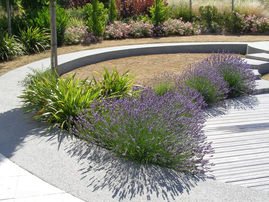 A piece of our garden