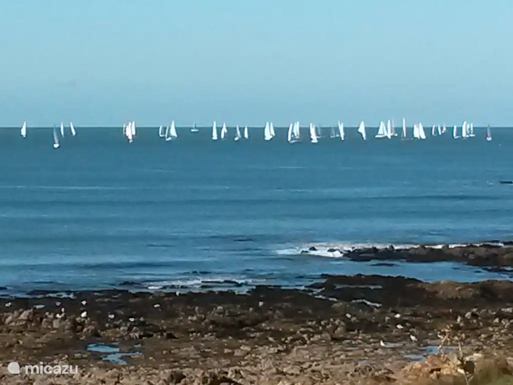 Sailing competition off the coast