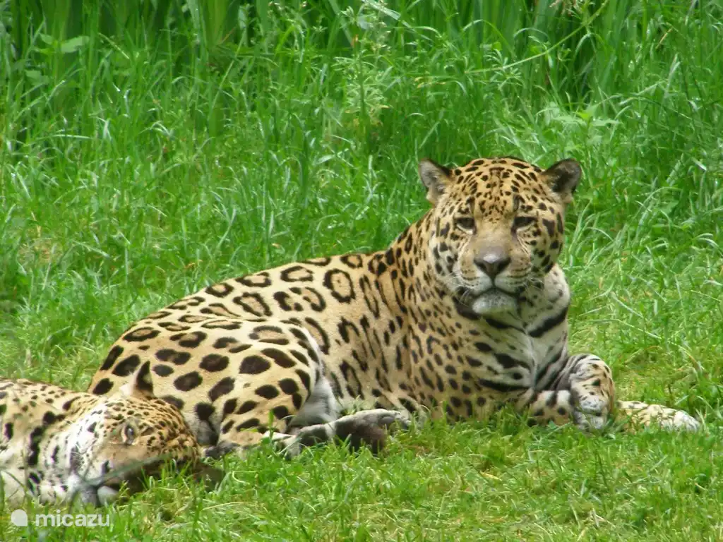 Zoo des Sables d'Olonne