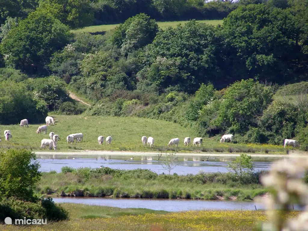 Rural area at La Bléniere
