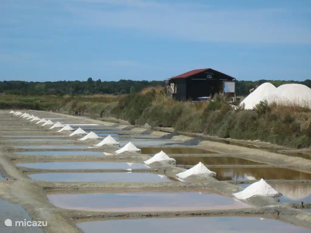 Salt pans at L'île d'Olonne