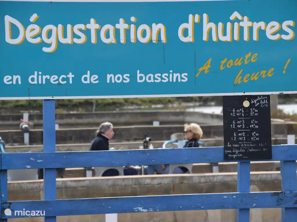 Eating oysters in la Guittière between the oyster basins
