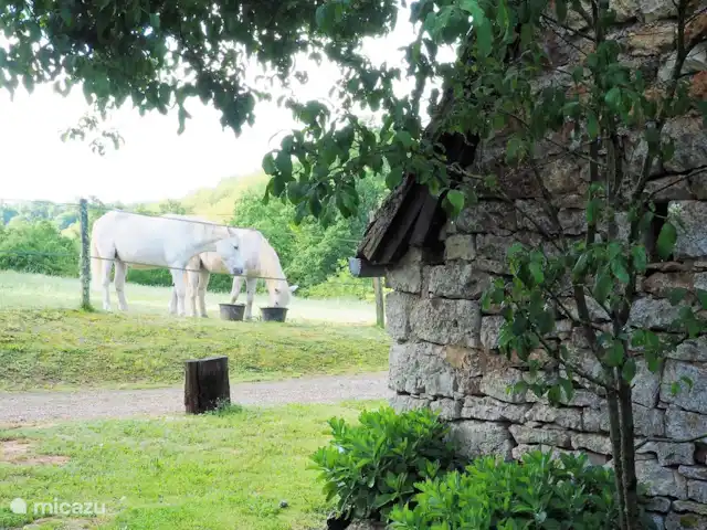 Pigeonnière 3 ps | France, Dordogne, Martel - maison de vacances -
