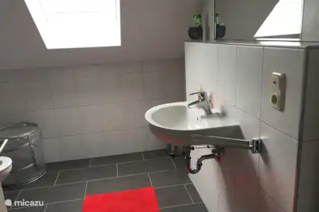 Vakantiehuis Duitsland, Eifel, Willwerath appartement Lichtval Badkamer