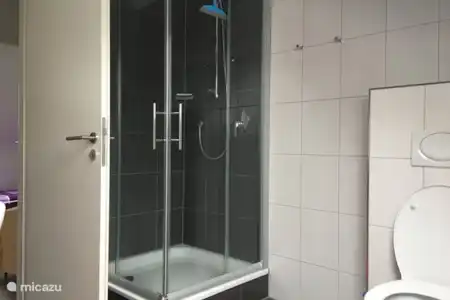 Vakantiehuis Duitsland, Eifel, Willwerath appartement Lichtval Badkamer