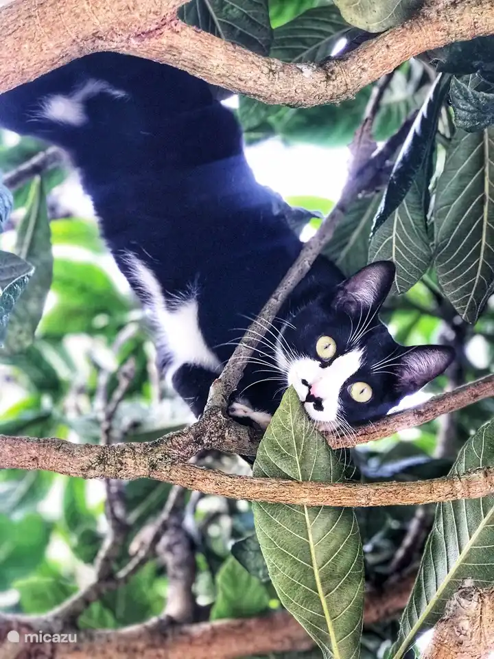 „Mama Mia“ ist die Mutter von Sammie und Toby