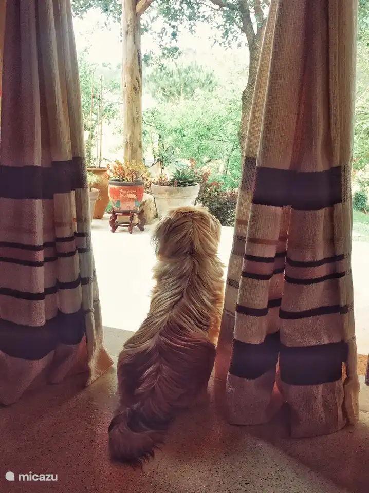 Zuki in der Tür der Wohnung:))