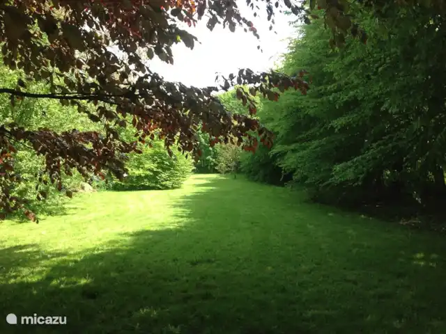 Engreux 72 | Belgique, Ardennes, Engreux - maison de vacances Cour