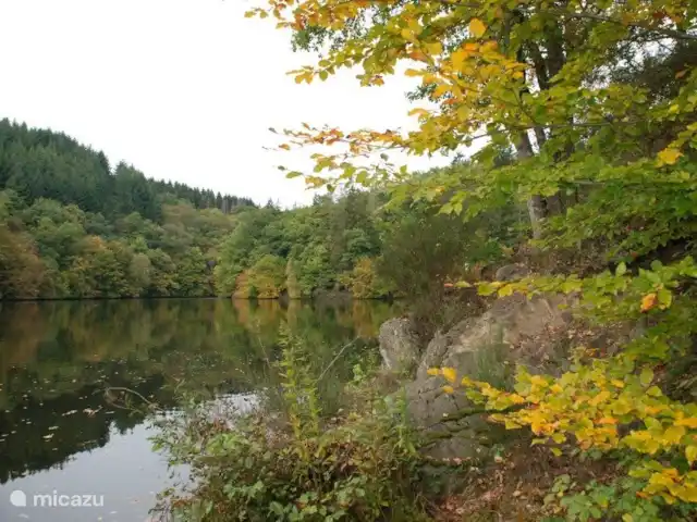 Engreux 72 | Belgique, Ardennes, Engreux - maison de vacances Split Ourthe automne