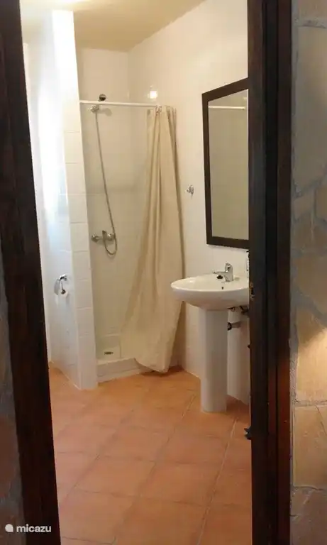 Salle de bain avec douche et toilette