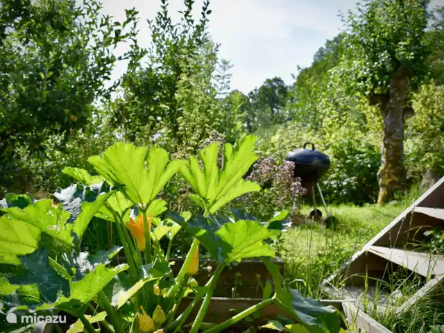 Escapade Verte | Suède, Skåne, Villands Vånga-Kristianstad - maison de vacances Une partie du jardin.