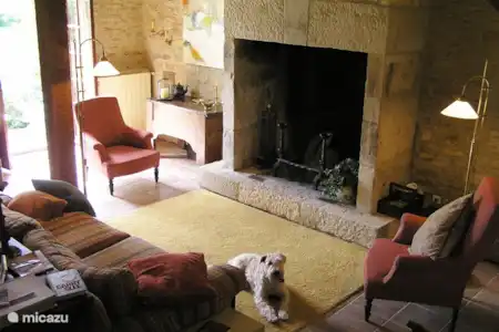 Vakantiehuis Frankrijk, Dordogne, Saint-Léon-sur-Vézère villa En Chamenon -