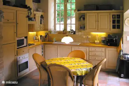 Vakantiehuis Frankrijk, Dordogne, Saint-Léon-sur-Vézère villa En Chamenon -
