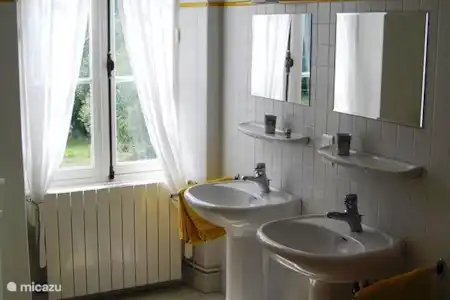Vakantiehuis Frankrijk, Dordogne, Saint-Léon-sur-Vézère villa En Chamenon -