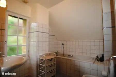 Vakantiehuis Frankrijk, Dordogne, Saint-Léon-sur-Vézère villa En Chamenon -