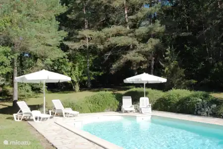 Vakantiehuis Frankrijk, Dordogne, Saint-Léon-sur-Vézère villa En Chamenon -