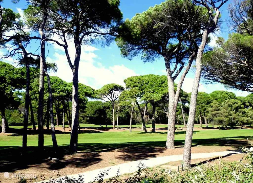 Golf Old Course Mandelieu/Cannes