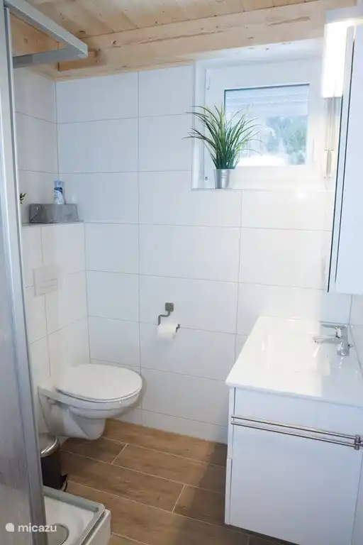 1 Bad mit Dusche, Waschtisch, Spiegel und Kleiderschrank