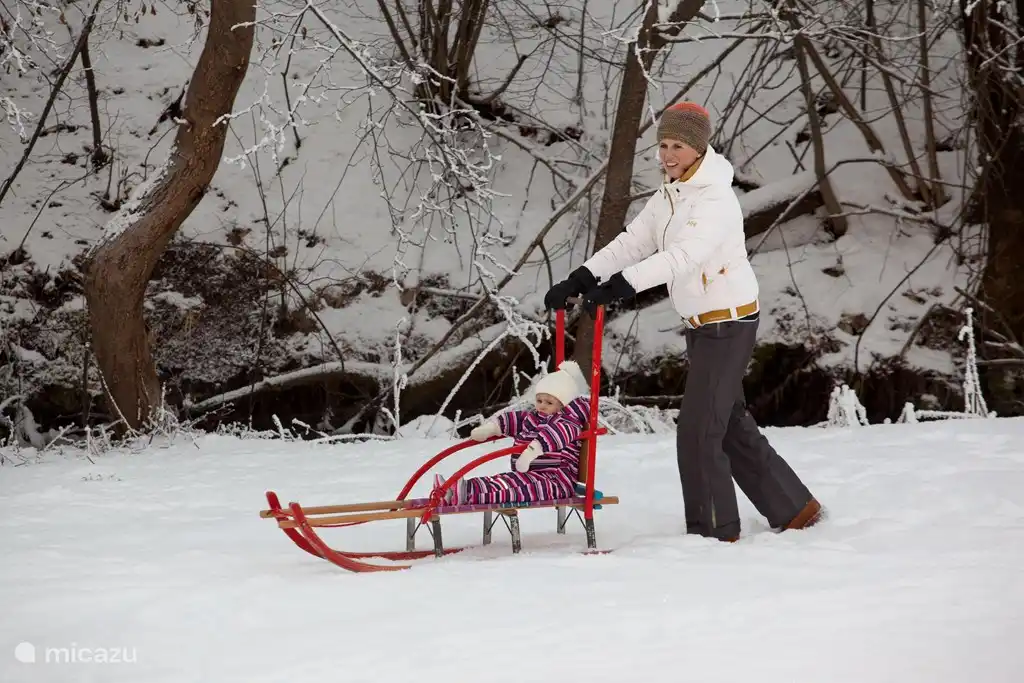 Mit dem Schlitten durch den Garten