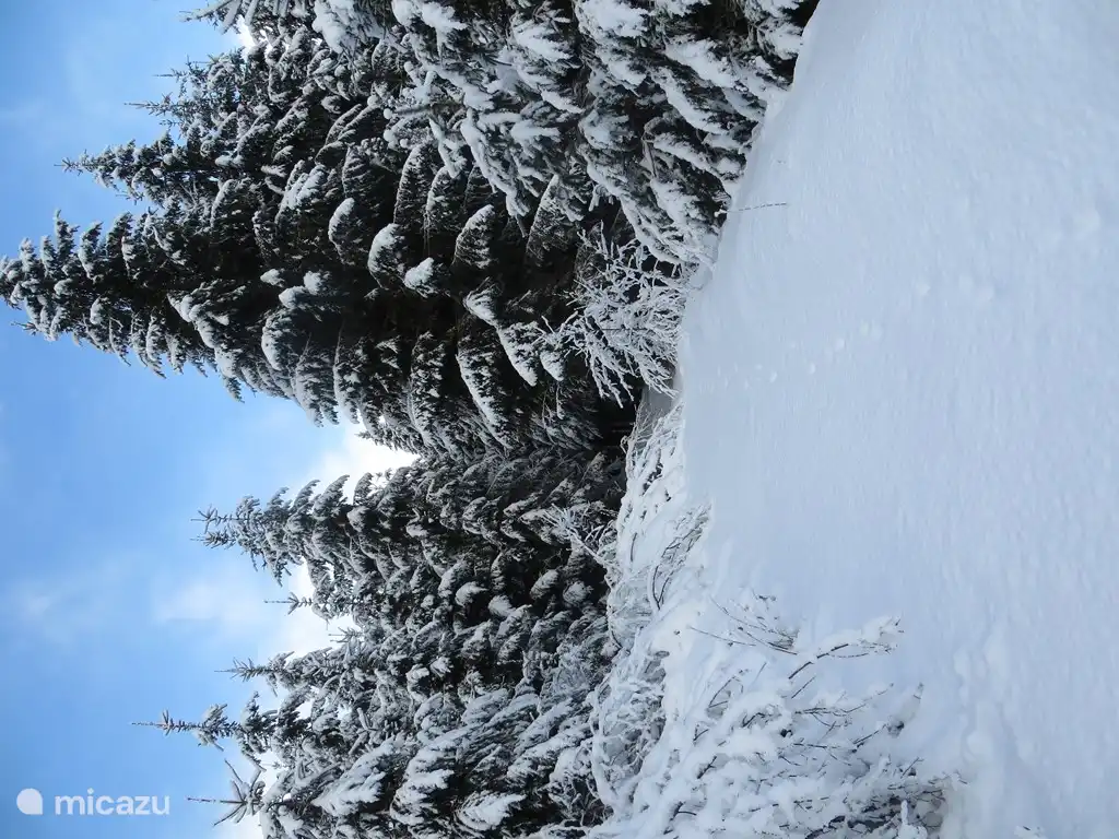 Auf dem Weg nach oben
