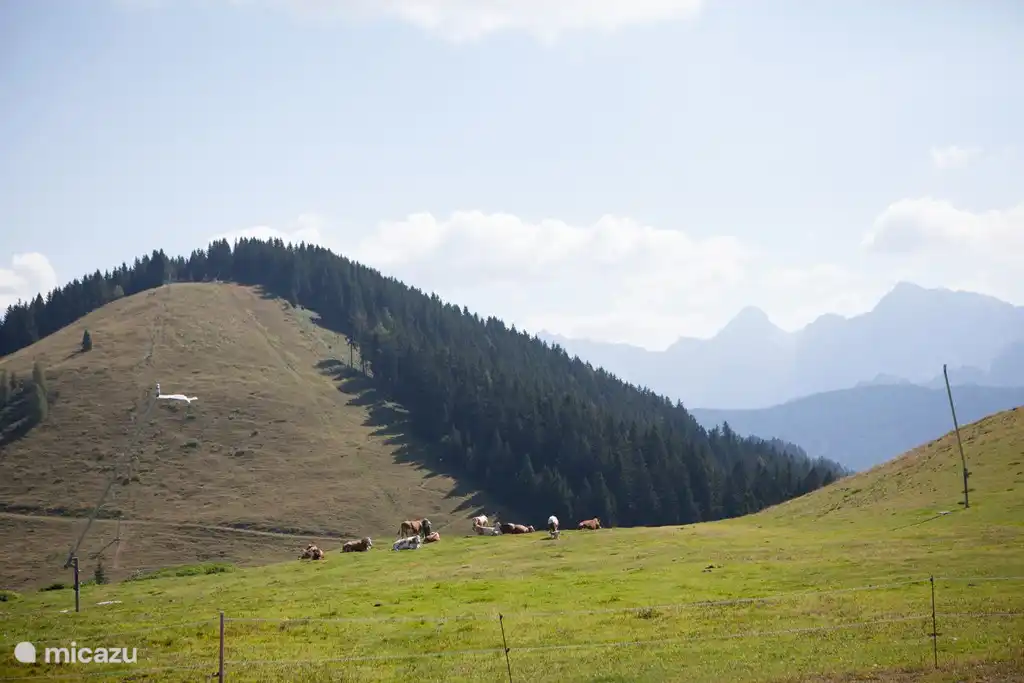 Blick vom Dreiländereck