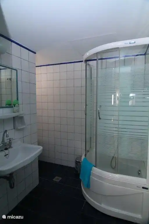 Badezimmer mit großer Dusche