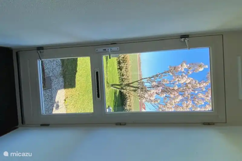 Corredor con vistas a la puerta de entrada