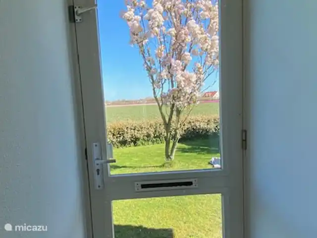 Casa Juliana | Pays-Bas, Hollande du Nord, Julianadorp - maison de vacances Couloir avec vue sur la porte d'entrée