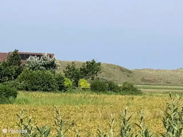 Casa Juliana | Pays-Bas, Hollande du Nord, Julianadorp - maison de vacances Alentours