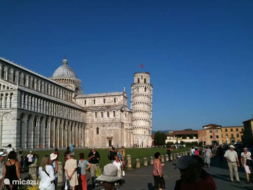 pisa
