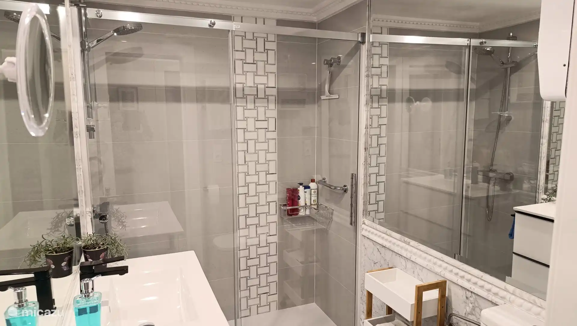 Badezimmer mit begehbarer Dusche, Waschbecken und WC