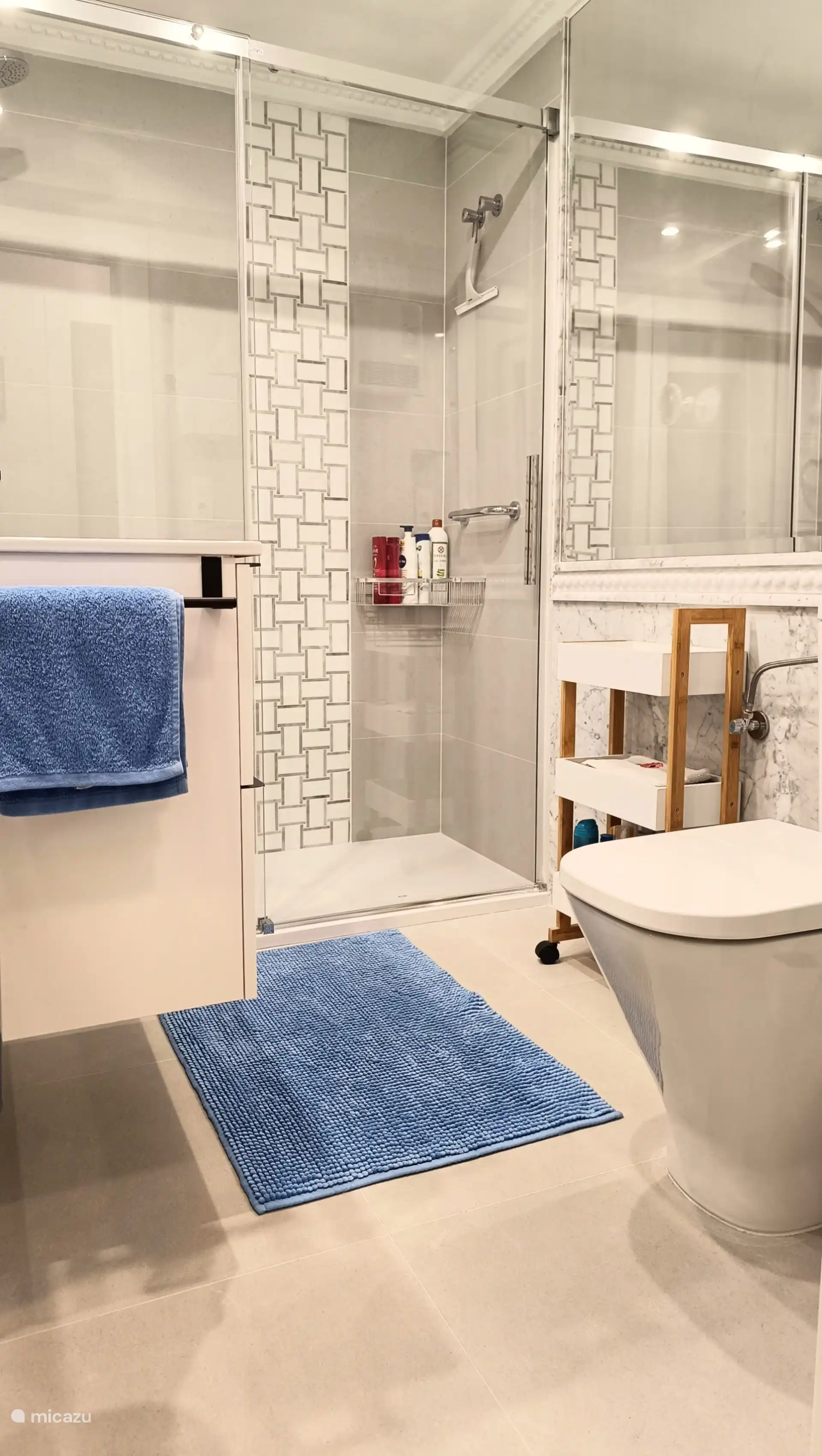 Badezimmer mit begehbarer Dusche, Waschbecken und WC