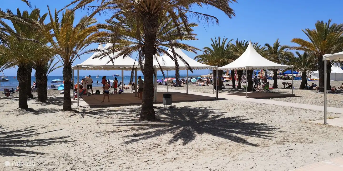 Playa Levante. Etwas Schatten unter den Palmen