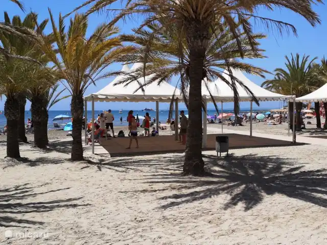 appartement huren in Spanje, Costa Blanca, Santa Pola – ALICANTE Santa Pola  Playa Levante Playa Levante. Wat schaduw onder de palmbomen