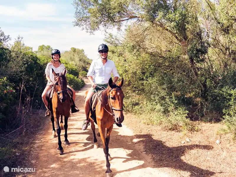 Sie können in der Reitschule oder auf dem Campo in Richtung Los Arenales del Sol reiten