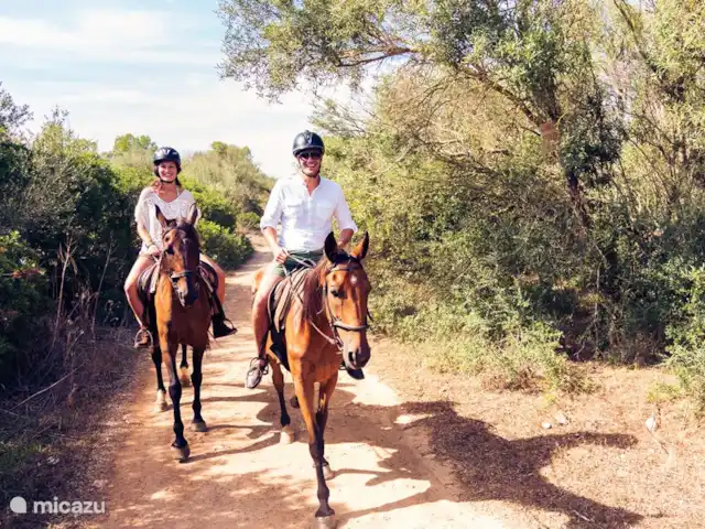 appartement huren in Spanje, Costa Blanca, Santa Pola – ALICANTE Santa Pola  Playa Levante Paardrijden kan je in de mannege of in de campo richting Los Arenales del Sol