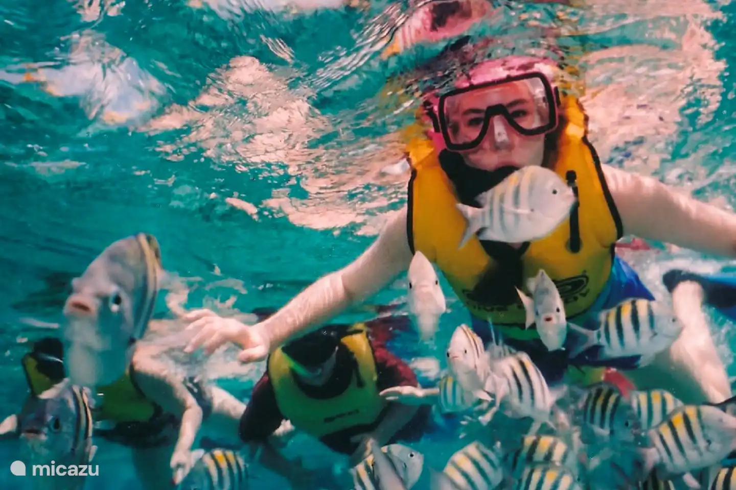 Schnorcheln in der Nähe der einzigartigen Insel Tabarca. Ein Katamaran bringt Sie in 25 Minuten dorthin