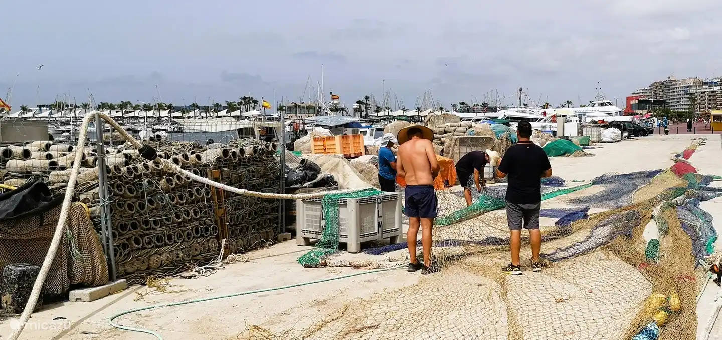 Besuchen Sie unbedingt den Fischereihafen. Gegen 17 Uhr laufen die Fischerboote in den Hafen ein und die Fänge werden mit Karren zur Versteigerung transportiert. Sie können jeden Tag frischen Fisch kaufen!