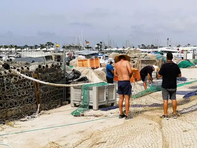 appartement huren in Spanje, Costa Blanca, Santa Pola – ALICANTE Santa Pola  Playa Levante Bezoek zeker de vissershaven. Rond 17u komen de vissersboten de haven binnen en worden de vangsten naar de veiling gereden met karretjes. Je kan er ieder dag verse vis kopen!