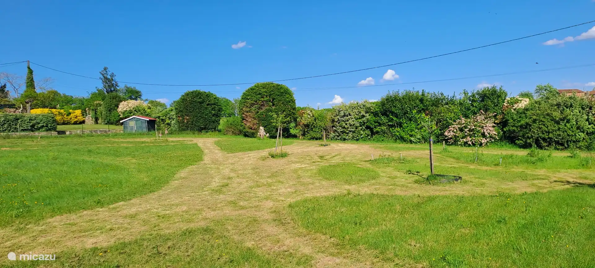 de weide beneden met fruitbomen