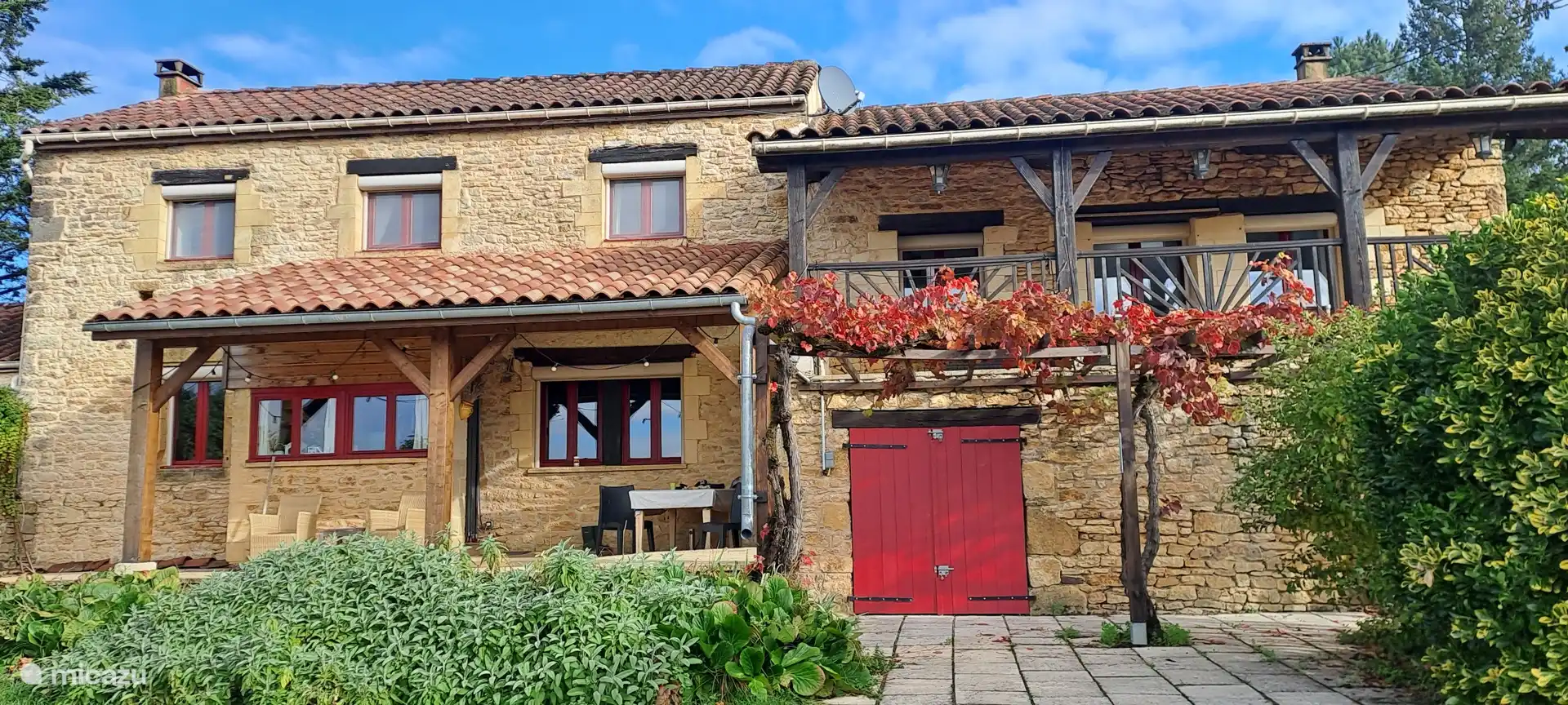 nog een terras, onder de druivenranken