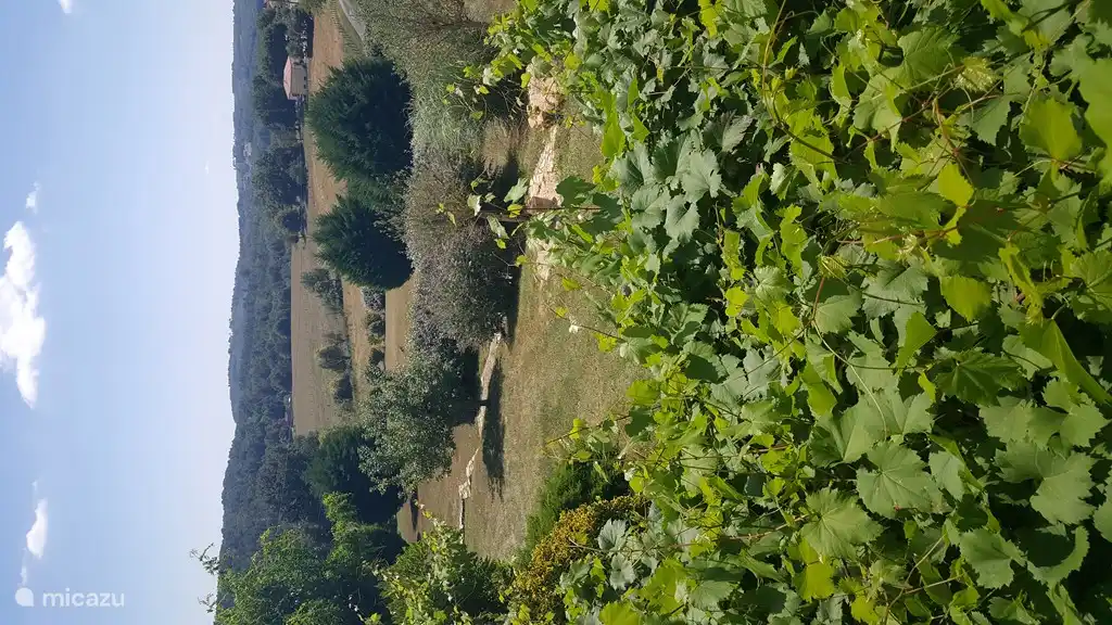 View over garden and valley from the veranda.