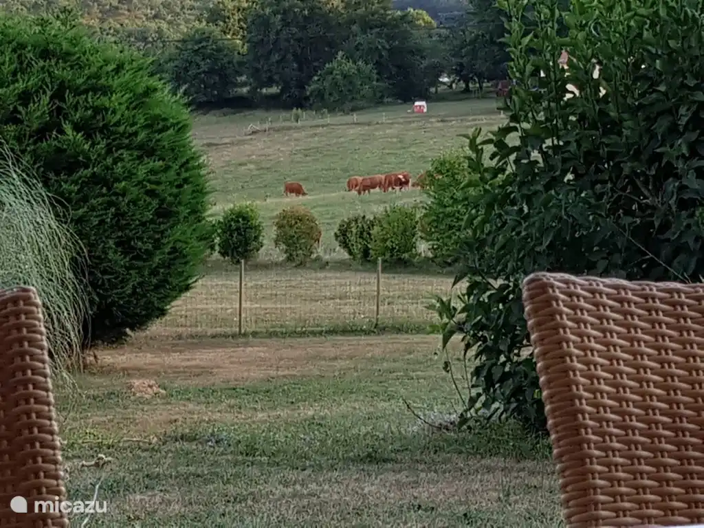 View from the kitchen terrace