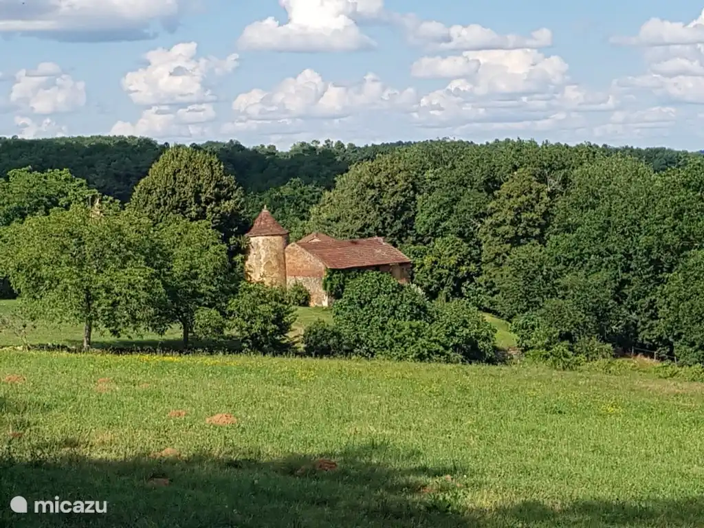 On the way to the forest pond