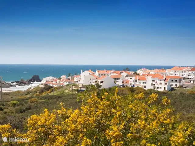 Location de Vacances Portugal, Beja, Zambujeira do Mar, maison de vacances - Zambujeira do Mar Zambujeira