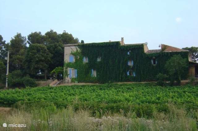 Vakantiehuis Frankrijk, Vaucluse, Carpentras - gîte / cottage Le Mas de Marotte