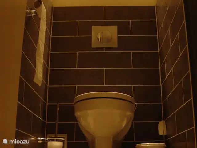 Le Racou Comte de Taillefer huren in Frankrijk, Pyrénées-Orientales, Argelès-sur-Mer - appartement Toilet