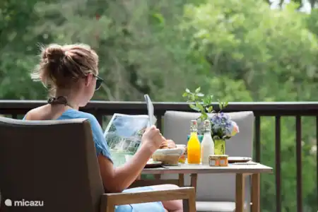 Vacation rental France, Dordogne, Auriac du Perigord cabin / lodge Cabane Mesange